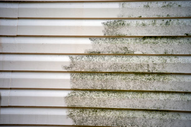 Best Construction Debris Removal  in Lexington, MI